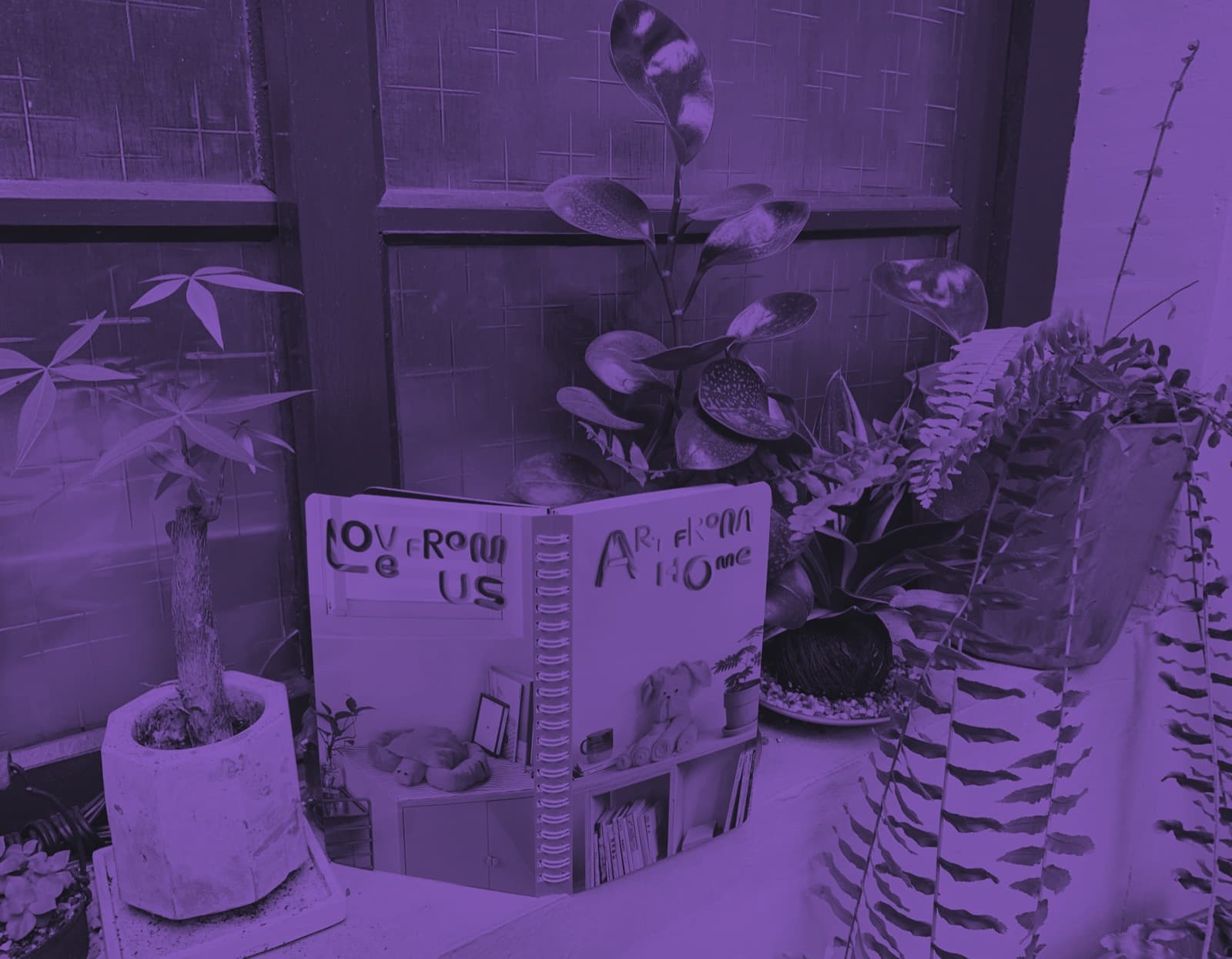 Zines and potted plants arranged on a table by a window at an event space